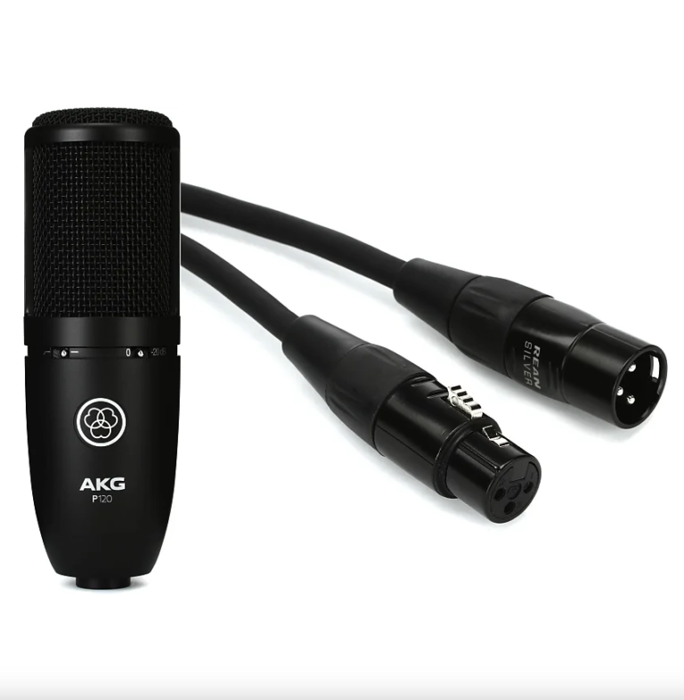 AKG P120 Large-diaphragm Condenser Microphone Bundle with Hosa HMIC-010 Pro Microphone Cable